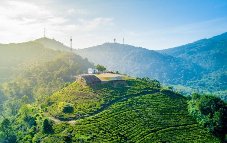 Puncak Bogor, Kawasan Wisata yang Nggak Ramah Kendaraan (Akhmad Dodi Firmansyah via Shutterstock.com)