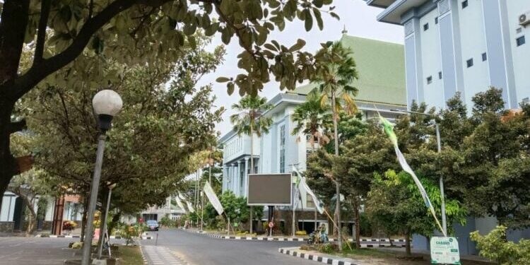 Anak UIN Nggak Punya Masa Depan Cerah! Kamu Mau Jadi Apa! (Unsplash)