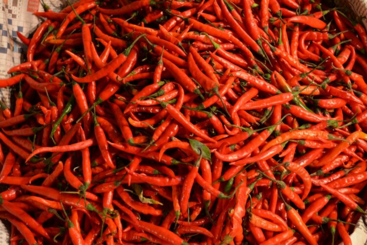 Jalan Kapten Sudibyo Adalah Jalan Paling Pedas di Kota Tegal. Jangan Lewat Sini Kalau Nggak Punya Lambung Besi!