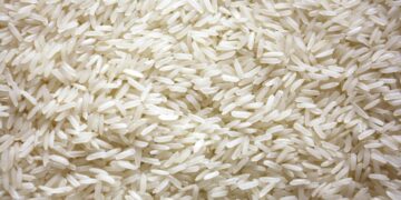 Sumo, Beras Pulen yang Tetap Dicari meski Harganya Bikin Gigit Jari