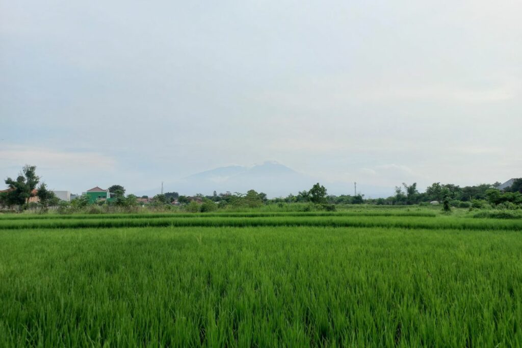Dramaga, Kecamatan Paling Menyedihkan di Kabupaten Bogor. Semua Serba Tanggung di Sini