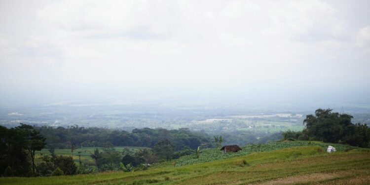 Derita yang Saya Rasakan Selama Tinggal di Perbatasan Ngawi-Sragen: Mau Pesan Ojol, Malah Disarankan Bertapa
