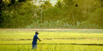 Sisi Gelap Gamping Sleman yang Jarang Dibicarakan Orang