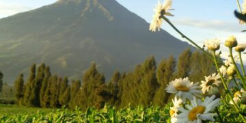 Wisata Alam Posong Temanggung Berubah: Dulu Indah, Sekarang Bikin Pengunjung Kecewa