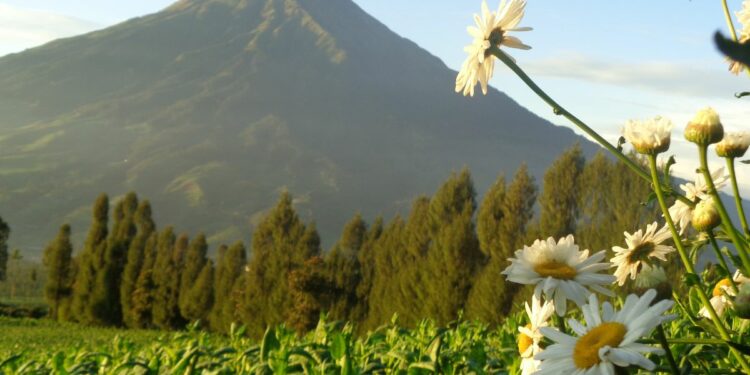 Wisata Alam Posong Temanggung Berubah: Dulu Indah, Sekarang Bikin Pengunjung Kecewa