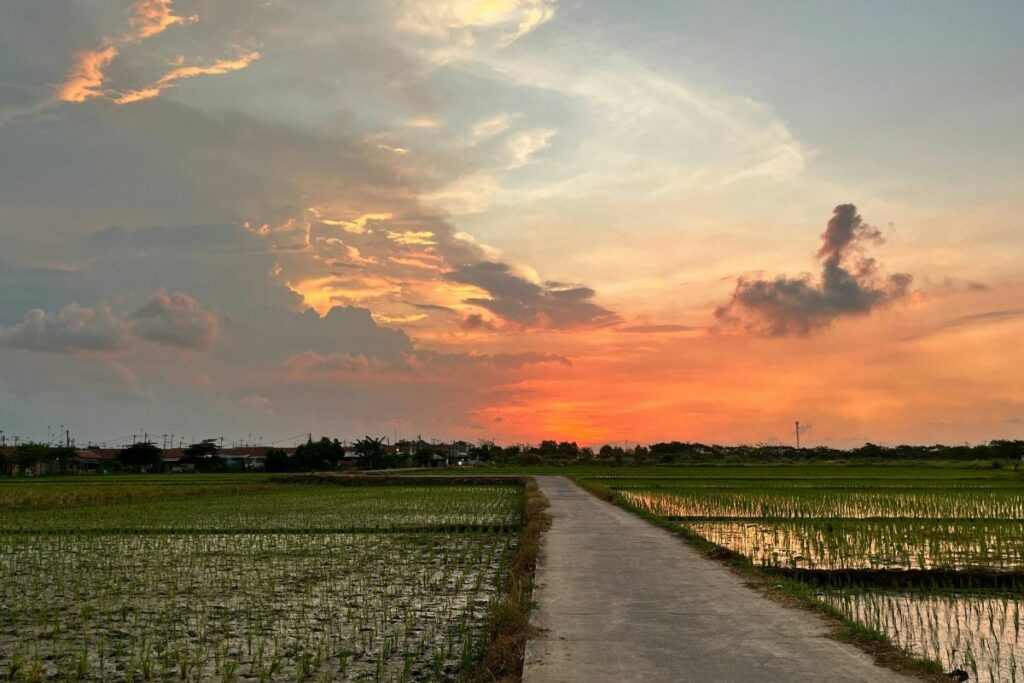 Karawang Ada di Peringkat 4 dari Bawah Soal Kemajuan Daerah di Jawa Barat: Sebuah Penghinaan!