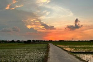 Karawang Ada di Peringkat 4 dari Bawah Soal Kemajuan Daerah di Jawa Barat: Sebuah Penghinaan!