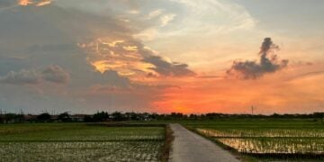 Karawang Ada di Peringkat 4 dari Bawah Soal Kemajuan Daerah di Jawa Barat: Sebuah Penghinaan!