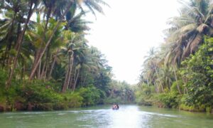 Kali Cokel Pacitan, “Sungai Amazon” di Jawa Timur yang Wajib Dikunjungi Wisatawan
