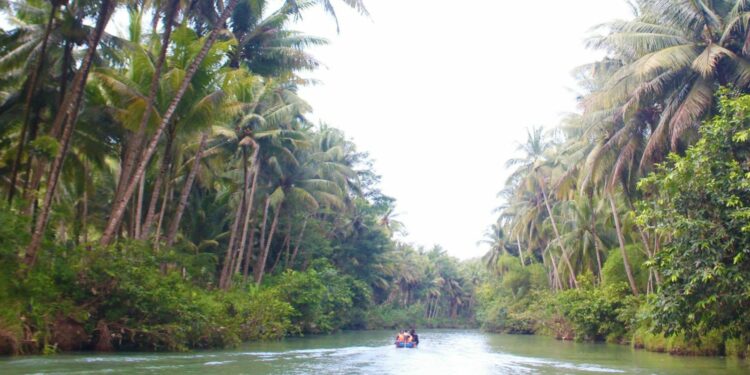 Kali Cokel Pacitan, “Sungai Amazon” di Jawa Timur yang Wajib Dikunjungi Wisatawan Mojok.co