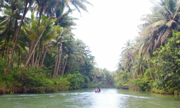 Kali Cokel Pacitan, “Sungai Amazon” di Jawa Timur yang Wajib Dikunjungi Wisatawan Mojok.co