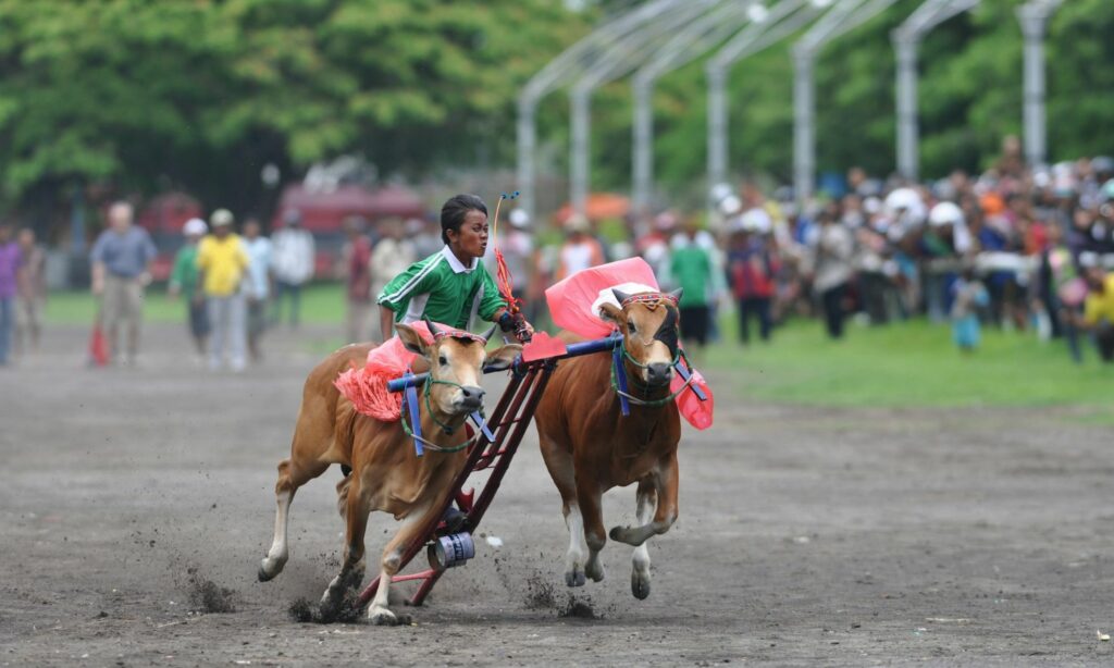 Saya Tidak Pernah Menyesal Terlahir di Madura yang Punya Citra Buruk Mojok.co