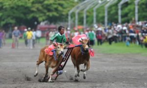 Saya Tidak Pernah Memilih Lahir di Madura, tapi Kenapa Saya Terus-terusan Dihina? Apakah Salah Jadi Orang Madura?
