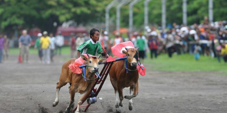 Saya Tidak Pernah Menyesal Terlahir di Madura yang Punya Citra Buruk Mojok.co
