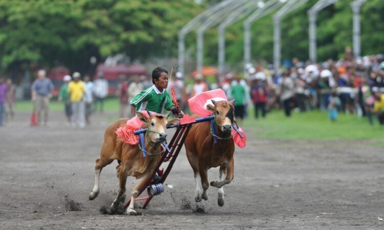 Saya Tidak Pernah Menyesal Terlahir di Madura yang Punya Citra Buruk Mojok.co