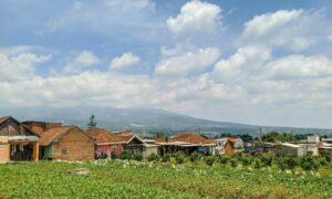 Sebagai Warga Lokal, Saya Setuju Study Tour ke Batu Malang Lebih Menyenangkan karena Study Tour ke Jogja dan Bali Sangat Membosankan