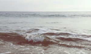 Pantai Gajah Kebumen, Tempat Wisata Kebupaten yang Bikin Orang Kota Terheran-heran