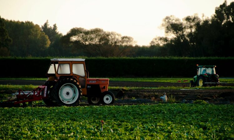 Jurusan Agroteknologi Terbentuk dari Sederet Kesalahapahaman yang Perlu Diluruskan Mojok.co