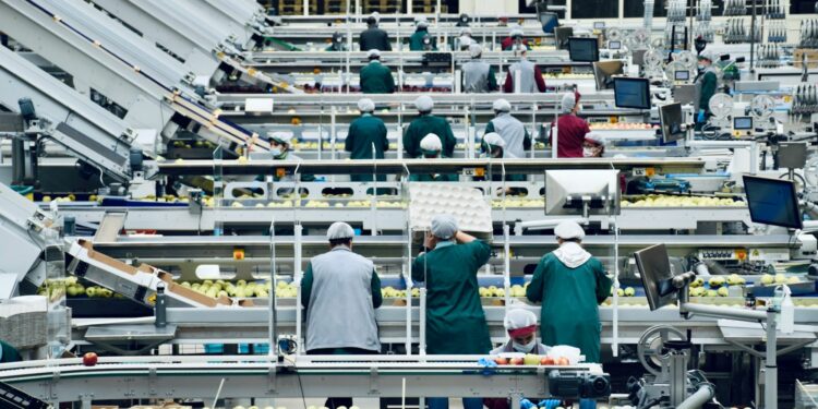 Barang-barang yang Nggak Pernah Saya Sangka Diproduksi oleh Perusahaan BUMN, Ada Frozen Food hingga Kondom Mojok.co