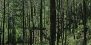 3 Rekomendasi Wisata di Gamping Sleman yang Layak Dikenal Lebih Banyak Orang Mojok.co