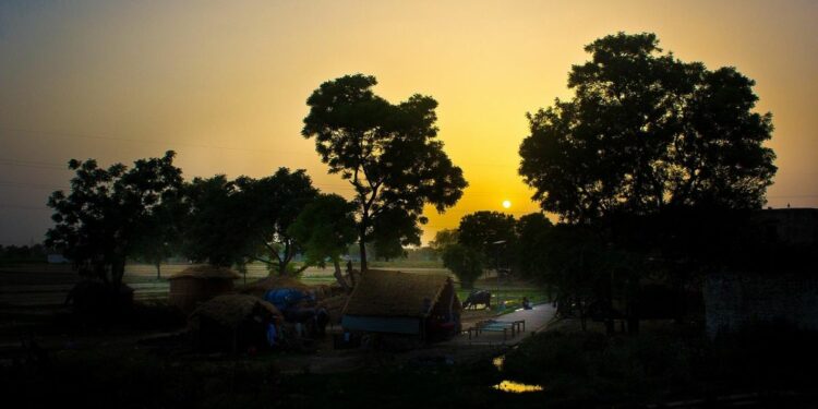 Risiko Tinggal di Desa Pelosok: Dari Sinyal Gaib Sampai Gosip yang Lebih Cepat dari 5G