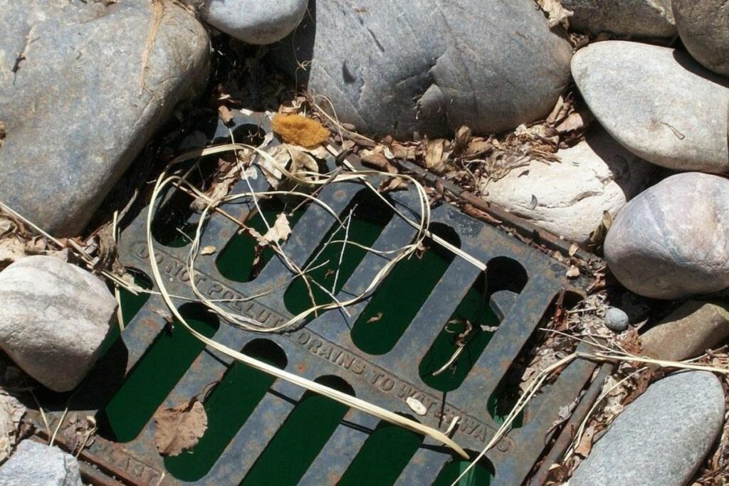 Mahasiswa UNY Juga (Pernah) Makan dengan Bau Comberan seperti Mahasiswa Unair, tapi Mereka Tidak Menderita, Malah Bahagia penyetan mas kobis