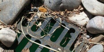 Mahasiswa UNY Juga (Pernah) Makan dengan Bau Comberan seperti Mahasiswa Unair, tapi Mereka Tidak Menderita, Malah Bahagia penyetan mas kobis