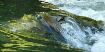 Sungai Gajahwong Jogja, Penghubung Antarkampung di Jogja yang Jadi Tempat Berdoa para Pencari Jodoh