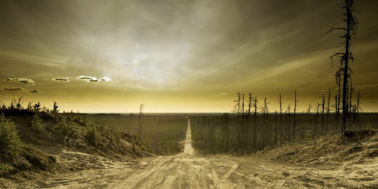 Hutan Blora Sudah Tak Mistis, Kini Malah Kritis Akibat Alih Fungsi Lahan