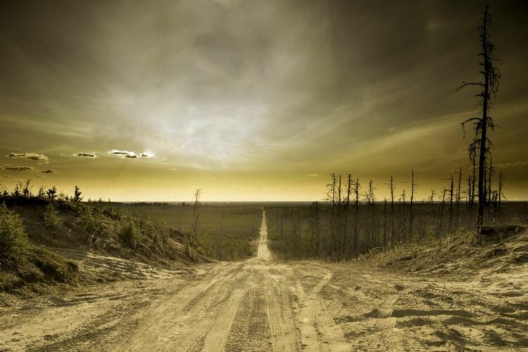 Hutan Blora Sudah Tak Mistis, Kini Malah Kritis Akibat Alih Fungsi Lahan