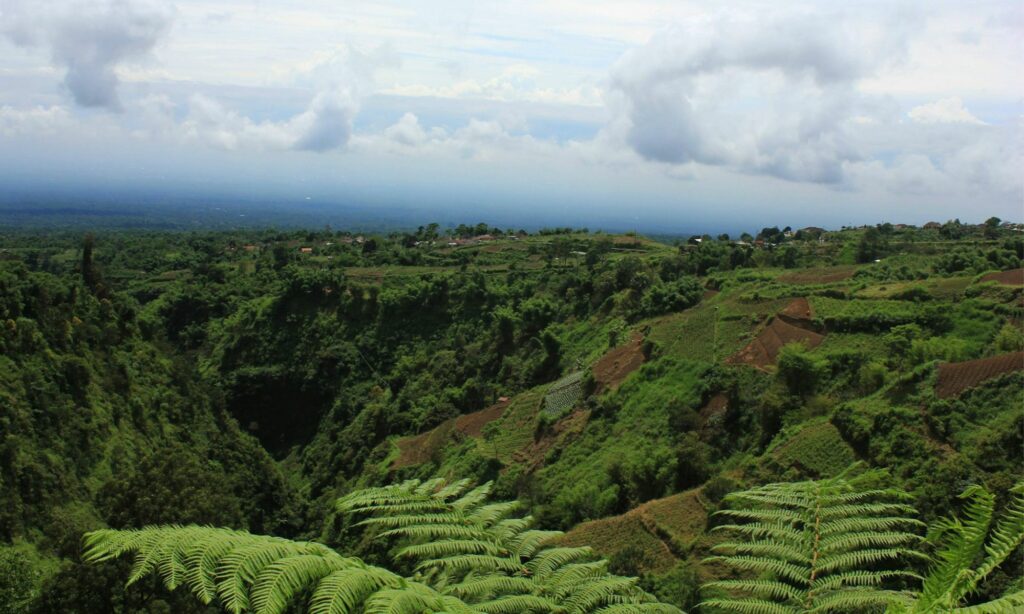 Banyudono, Kecamatan “Mewah” di Pinggiran Boyolali yang Jarang Dilirik Orang Mojok.co
