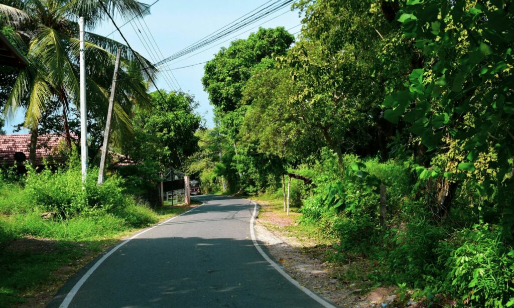 Saya Nggak Sepakat Jalur Gumitir Jember-Banyuwangi Ditutup Total, Bakal Merepotkan! Mojok.co