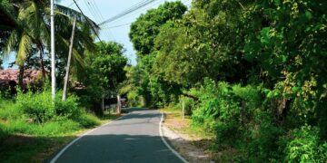 Saya Nggak Sepakat Jalur Gumitir Jember-Banyuwangi Ditutup Total, Bakal Merepotkan! Mojok.co