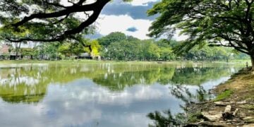 Babelan, Sisi Lain Bekasi yang Jarang Terungkap: Masih Banyak Rawa dan Sawah, Nggak Ada Mie Ayam yang Nggak Enak di Sini