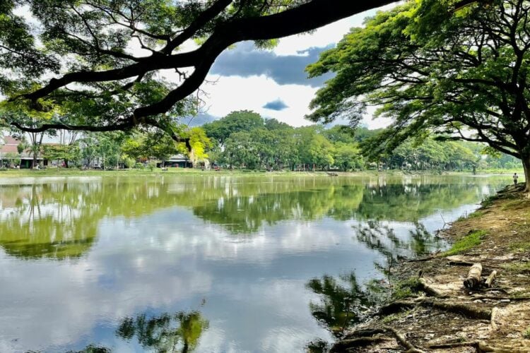 Babelan, Sisi Lain Bekasi yang Jarang Terungkap: Masih Banyak Rawa dan Sawah, Nggak Ada Mie Ayam yang Nggak Enak di Sini