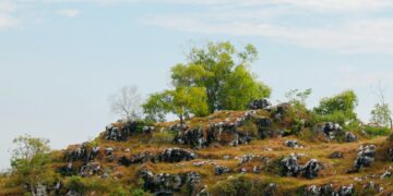 7 Hal Biasa tapi Pemkab Bangkalan Madura Nggak Bisa Kasih buat Warga, Bukti kalau Kabupaten Ini Nggak Punya Apa-apa