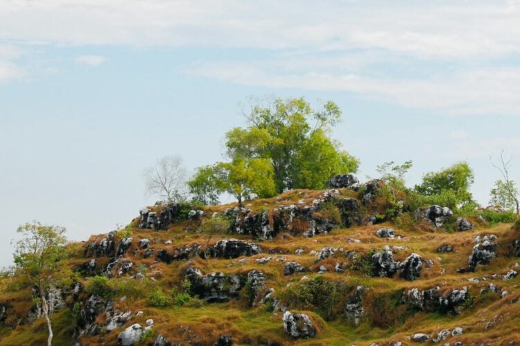 7 Hal Biasa tapi Pemkab Bangkalan Madura Nggak Bisa Kasih buat Warga, Bukti kalau Kabupaten Ini Nggak Punya Apa-apa