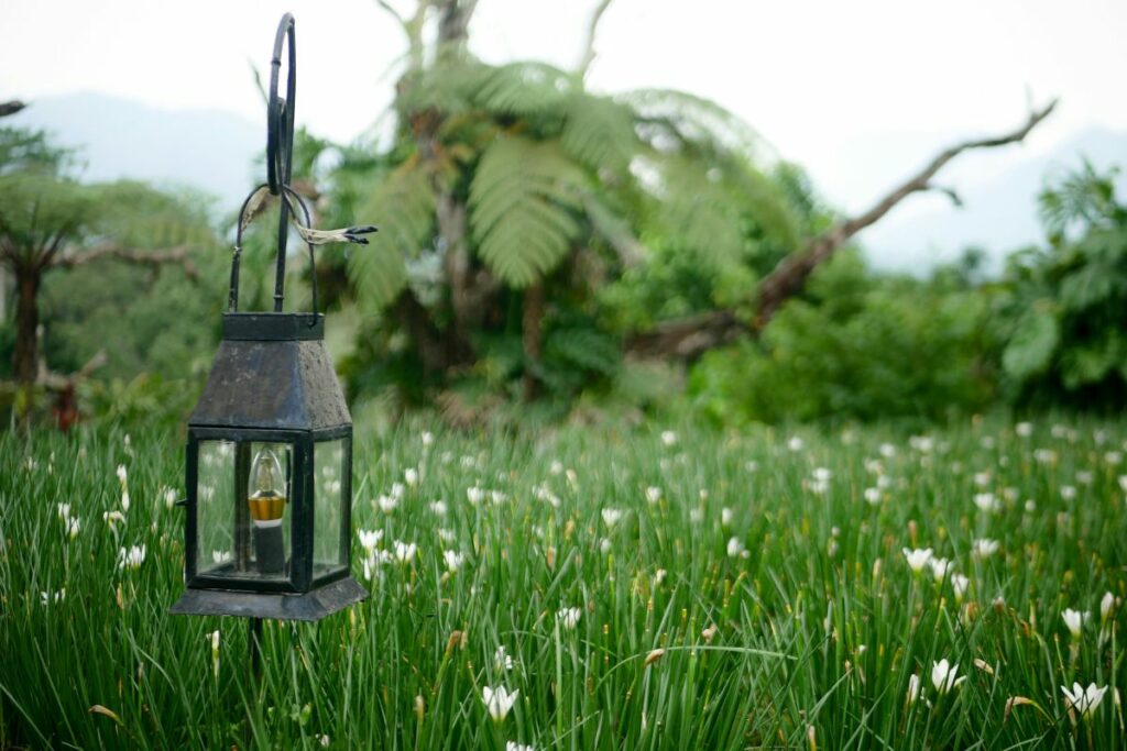 Julukan Kota Sejuta Bunga Masih Pantas Disematkan pada Magelang, tapi Ada Syaratnya