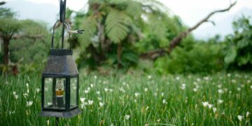 Julukan Kota Sejuta Bunga Masih Pantas Disematkan pada Magelang, tapi Ada Syaratnya