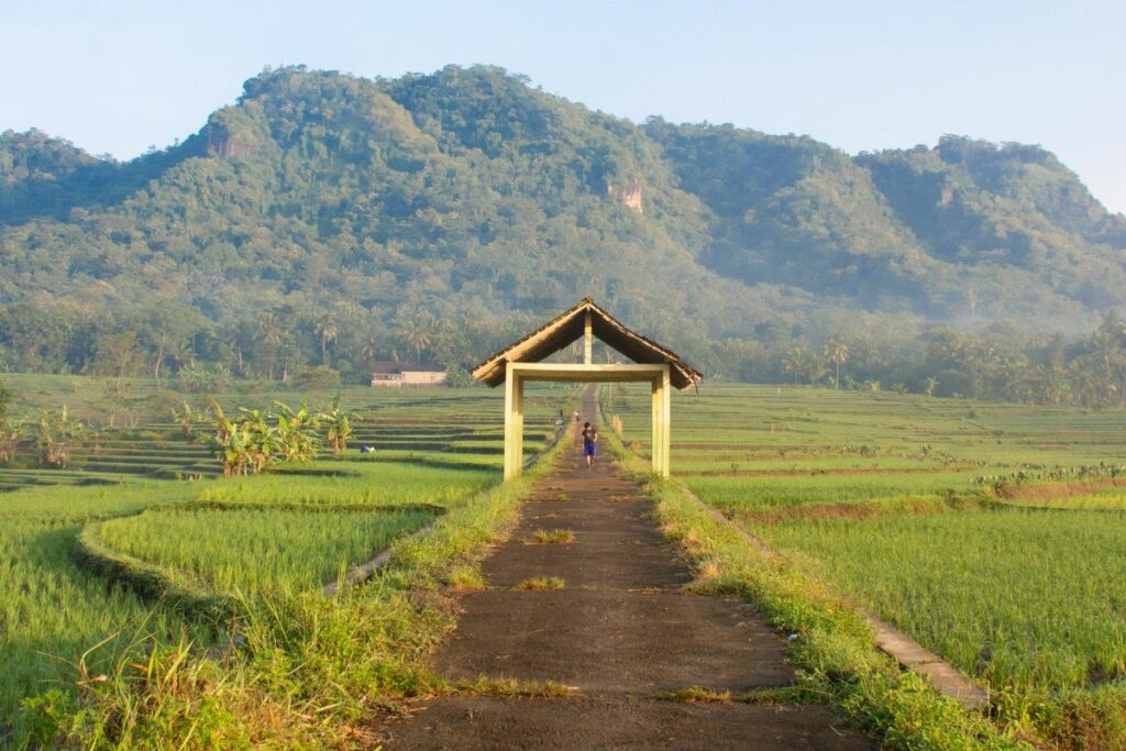 Bandara YIA Nggak Bikin Wisata Kulon Progo Melesat, Daerah Ini Masih Gitu-gitu Aja Kalah sama Kabupaten Lainnya