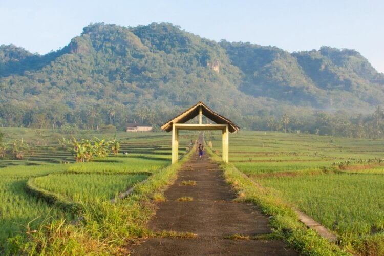 Bandara YIA Nggak Bikin Wisata Kulon Progo Melesat, Daerah Ini Masih Gitu-gitu Aja Kalah sama Kabupaten Lainnya