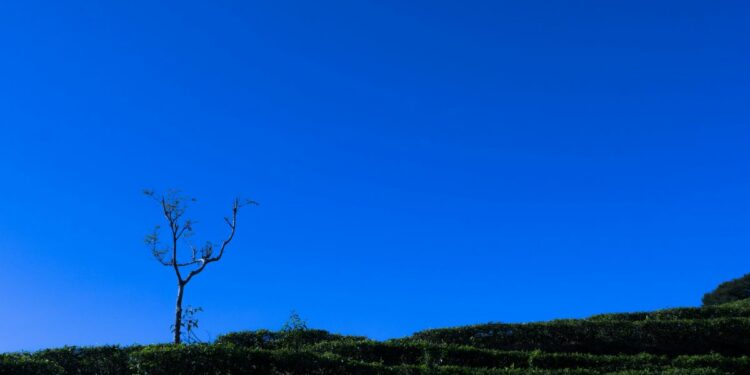 Orang INFJ Jangan Tinggal di Perbatasan Batang dan Pekalongan kalau Mau Tetap Waras