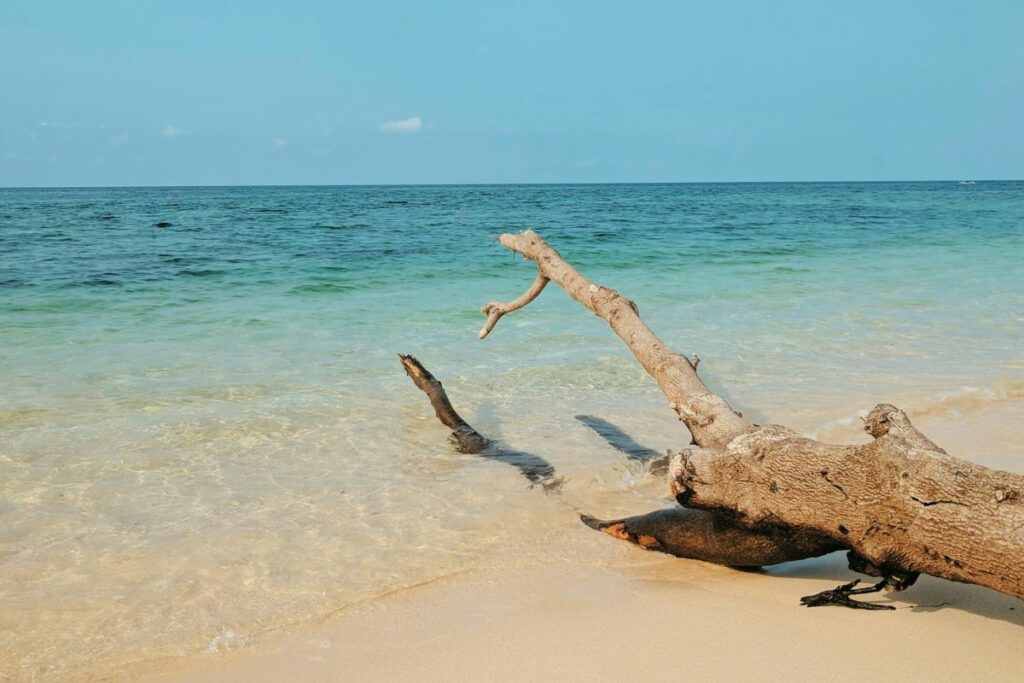 Wongsorejo, Kecamatan yang Hampir Terlupakan di Wilayah Banyuwangi, padahal Menyimpan Wisata Alam yang Tak Kalah Menakjubkan