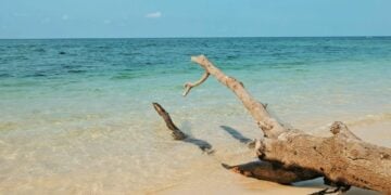 Wongsorejo, Kecamatan yang Hampir Terlupakan di Wilayah Banyuwangi, padahal Menyimpan Wisata Alam yang Tak Kalah Menakjubkan