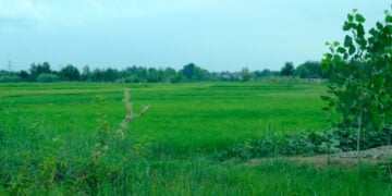 Kecamatan Wadaslintang Beda Ia Anak Tiri Kabupaten Wonosobo (Unsplash)