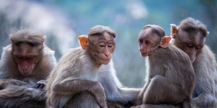 Balada Perempuan Penghuni Jogja Selatan, Gerak Dikit Kena Catcalling Orang Aneh, Ketenangan Itu Hanya Hoaks!