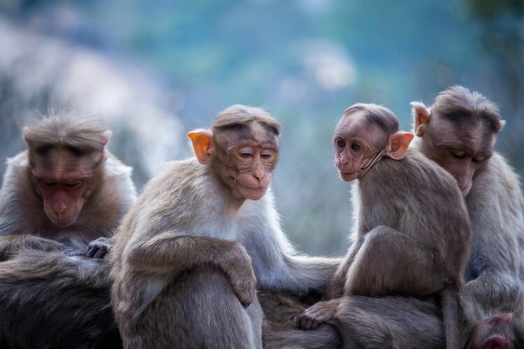 Balada Perempuan Penghuni Jogja Selatan, Gerak Dikit Kena Catcalling Orang Aneh, Ketenangan Itu Hanya Hoaks!