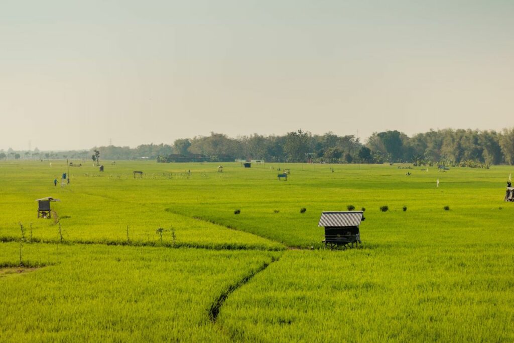Kabupaten Pati: Dulu Pusat Semesta, Kini Cuma Jadi Penonton Tetangga yang Makin Maju. Kabupaten Lain Berbenah, Pati Makin Ora Nggenah!
