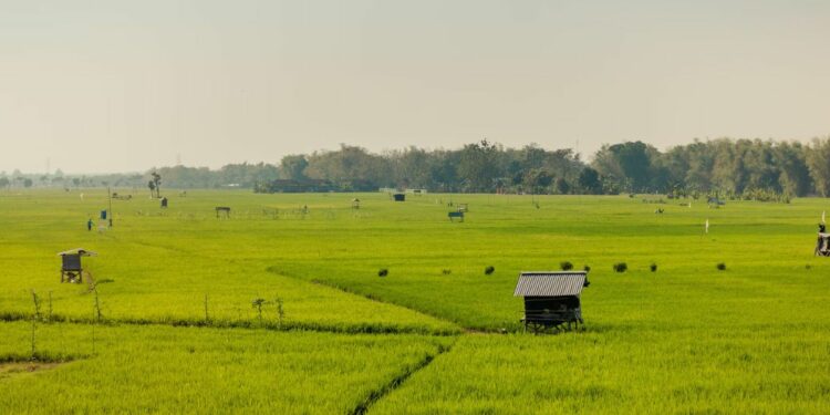 Kabupaten Pati: Dulu Pusat Semesta, Kini Cuma Jadi Penonton Tetangga yang Makin Maju. Kabupaten Lain Berbenah, Pati Makin Ora Nggenah!