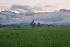 Kabupaten Wonogiri, Kabupaten dengan Jalan yang Amat Menantang dan Sulit Ditaklukkan, tapi Dibayar dengan Pemandangan yang Amat Menawan